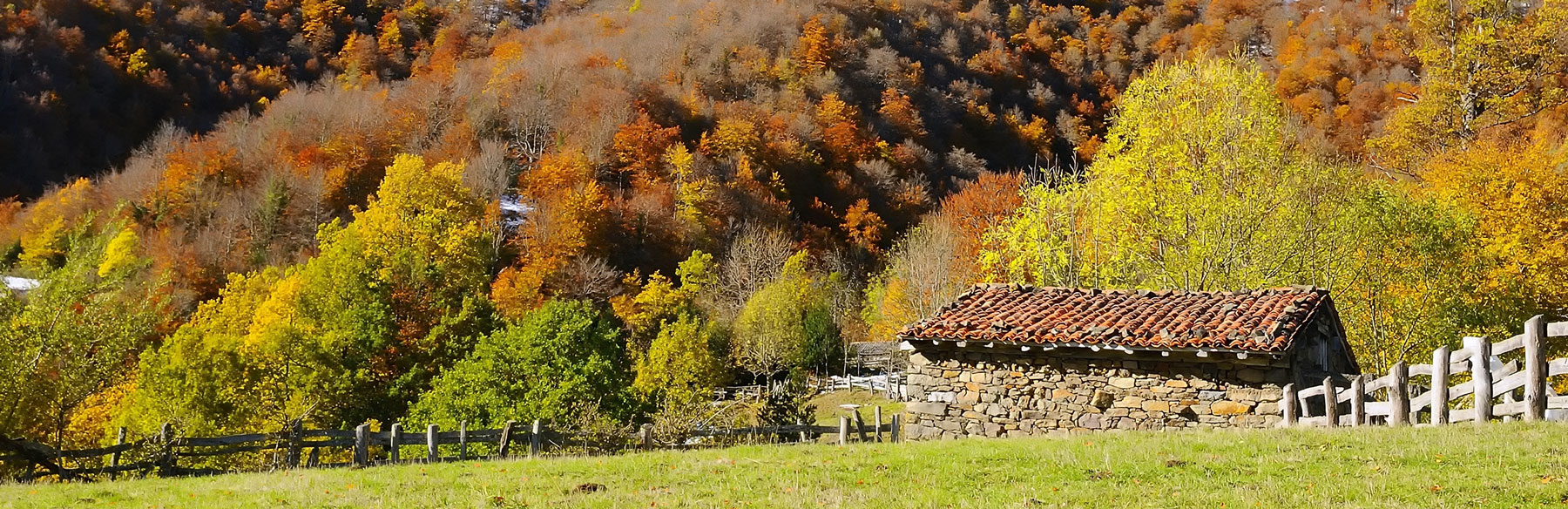 Especialistas inmobiliarios en el Parque Natural de Redes, Asturias