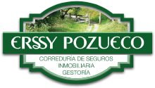 Logo Erssy Pozueco